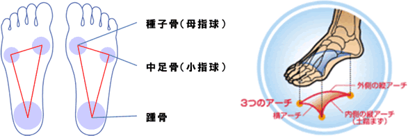 外反母趾 足裏の痛み 症状別治療 千葉で交通事故 むちうち 頭痛 腰痛 肩こり治療の症状別治療は千葉で国家資格を持つプロ集団の伊集院整骨院へ 伊集院整骨院